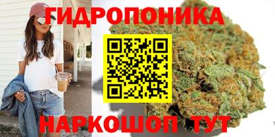 соль ск Долгопрудный