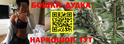 индика Добрянка