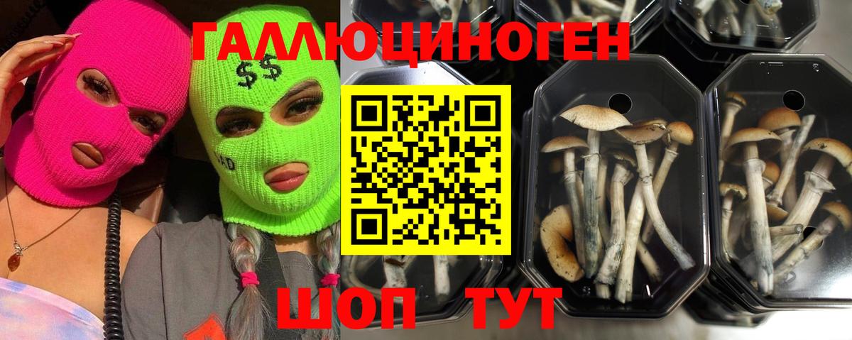 ГАШ  Вход с VPN  Альфа ПВП СОЛЬ кристаллы  Cocaine  Меф МЯУ МЯУ кристаллы  Кудымкар  МАРИХУАНА 