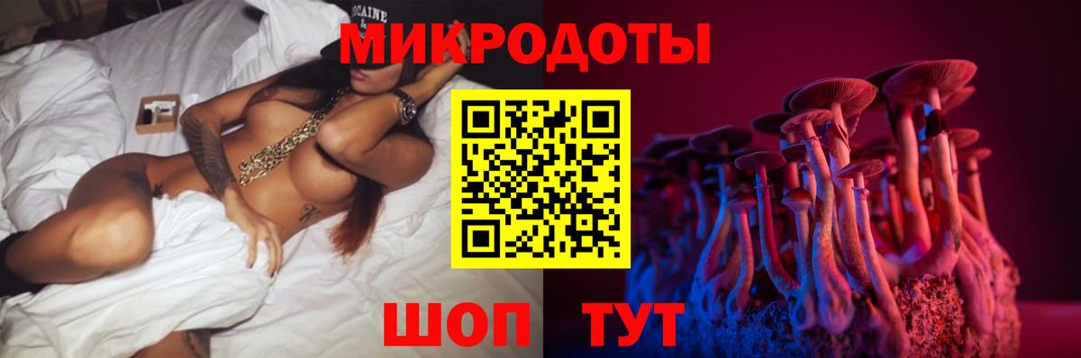 Кудымкар  Псилоцибиновые грибы Psilocybe  Вход с VPN 